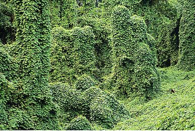 细数英雄故事，《命运2》英灵日活动火热进行中