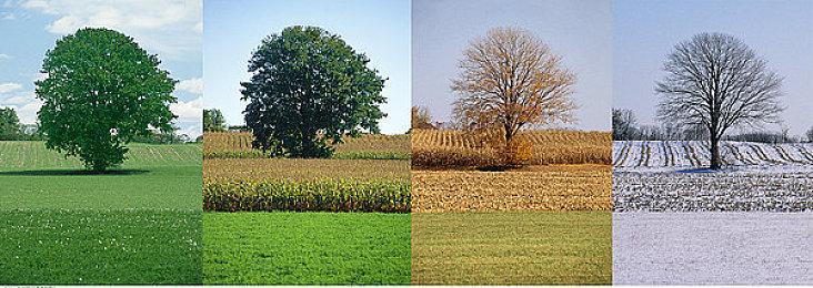 TGA2022首周投票数达3500万 是去年的两倍多